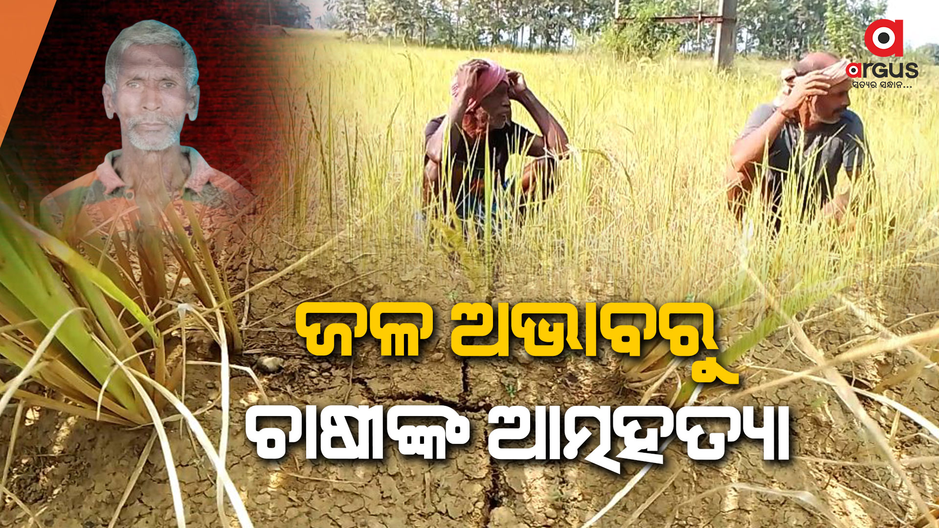 ଜଳ ଯନ୍ତ୍ରଣାରେ ଛଟପଟ ଚାଷୀ