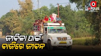 ଗୋଟିଏ ପିକଅପରେ ବେପରୁଆ ଭାବେ ଯାଉଛନ୍ତି ୬୦ରୁ ୭୦ ଶ୍ରମିକ