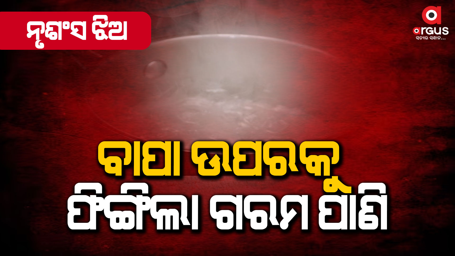 ପାରିବାରିକ କଳହର କରୁଣ ପରିଣତି