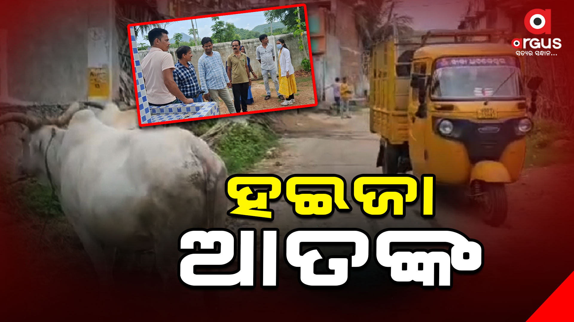ପାଟପୁର ଗ୍ରାମରେ ହଇଜା ଆତଙ୍କ
