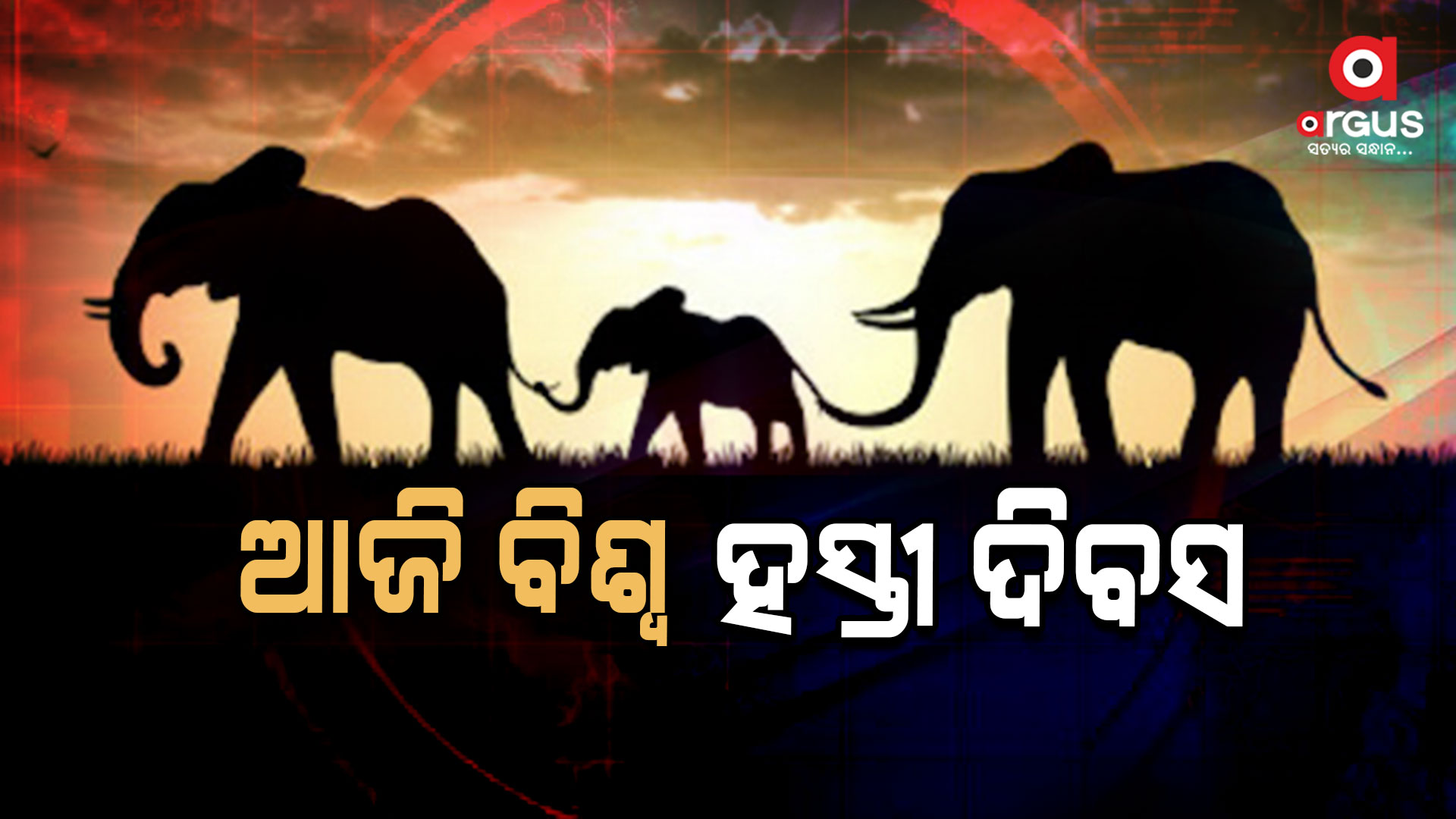 ଆଜି ବିଶ୍ବ ହସ୍ତୀ ଦିବସ