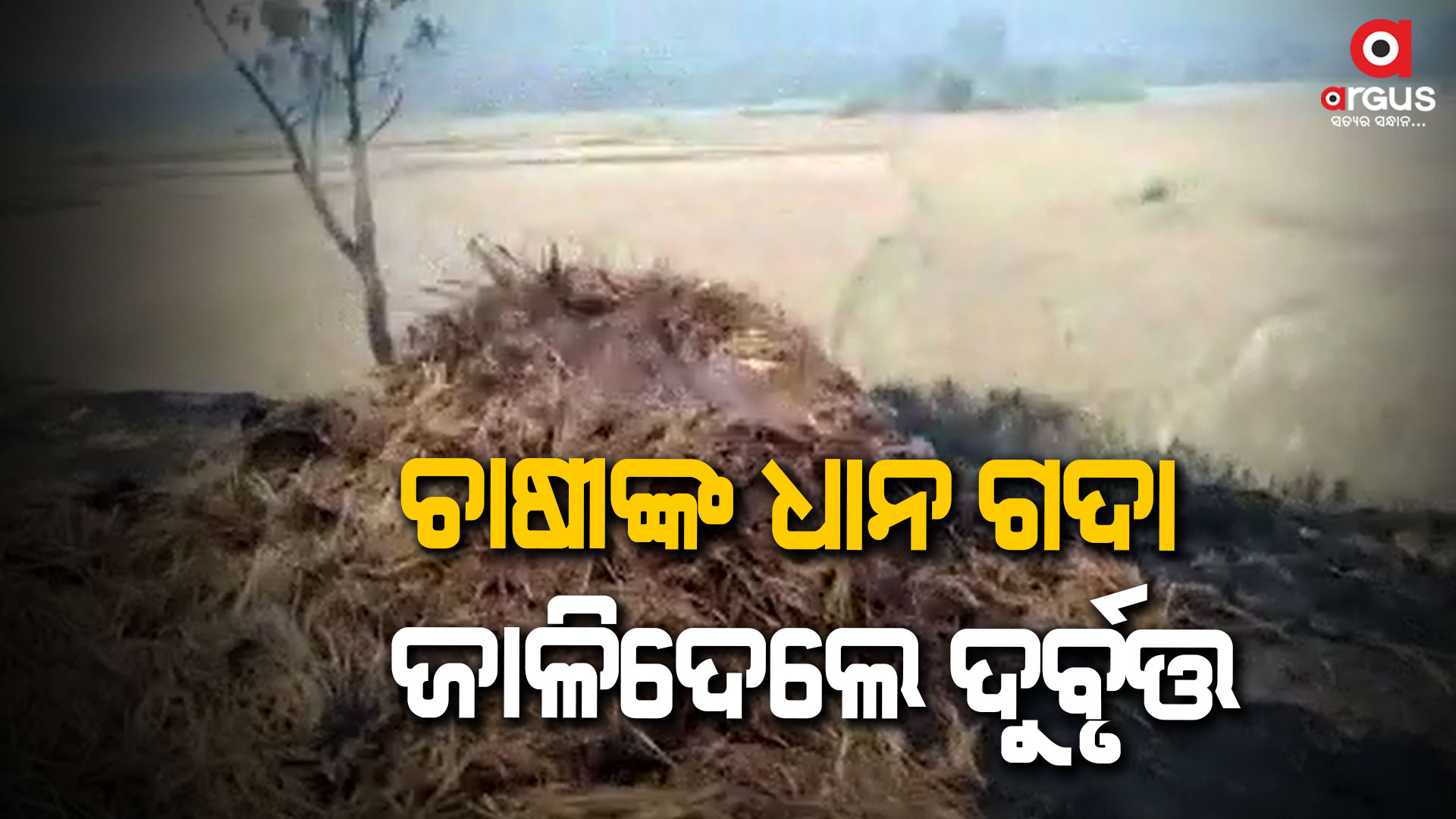 ଧାନ ଗଦାରେ ନିଆଁ, ସବୁ ପୋଡି ପାଉଁସ