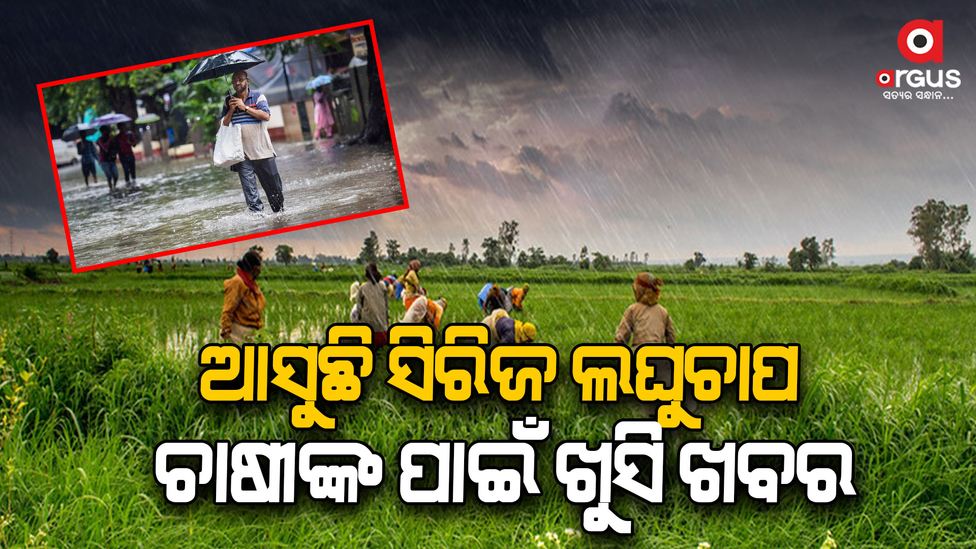 ୮ ଦିନ ଭିତରେ ୨ଟି ଲଘୁଚାପ ହେବାର ସମ୍ଭାବନା: ଭରଣା ହେବ ନିଅଣ୍ଟିଆ ବର୍ଷା