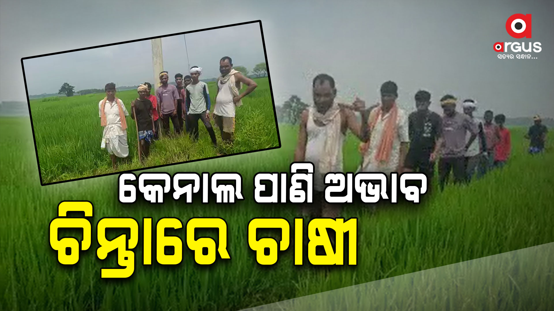 ପାଣି ଅଭାବ ଯୋଗୁଁ ଏକର ଏକର ଫସଲ ନଷ୍ଟ