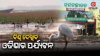 3-day Odisha Travel Bazaar begins in Bhubaneswar