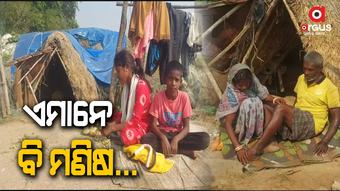 ବସନ୍ତଙ୍କ ୬ ପ୍ରାଣୀ ପରିବାର ଏଇଠି ଖରା, ବର୍ଷା ଖାଇ ବଞ୍ଚିଛନ୍ତି