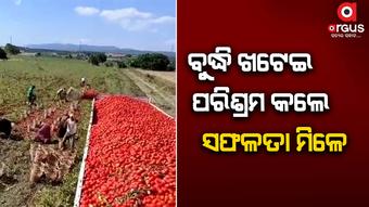 ବିନା ବୁଦ୍ଧିରେ ପରିଶ୍ରମ ବୃଥା