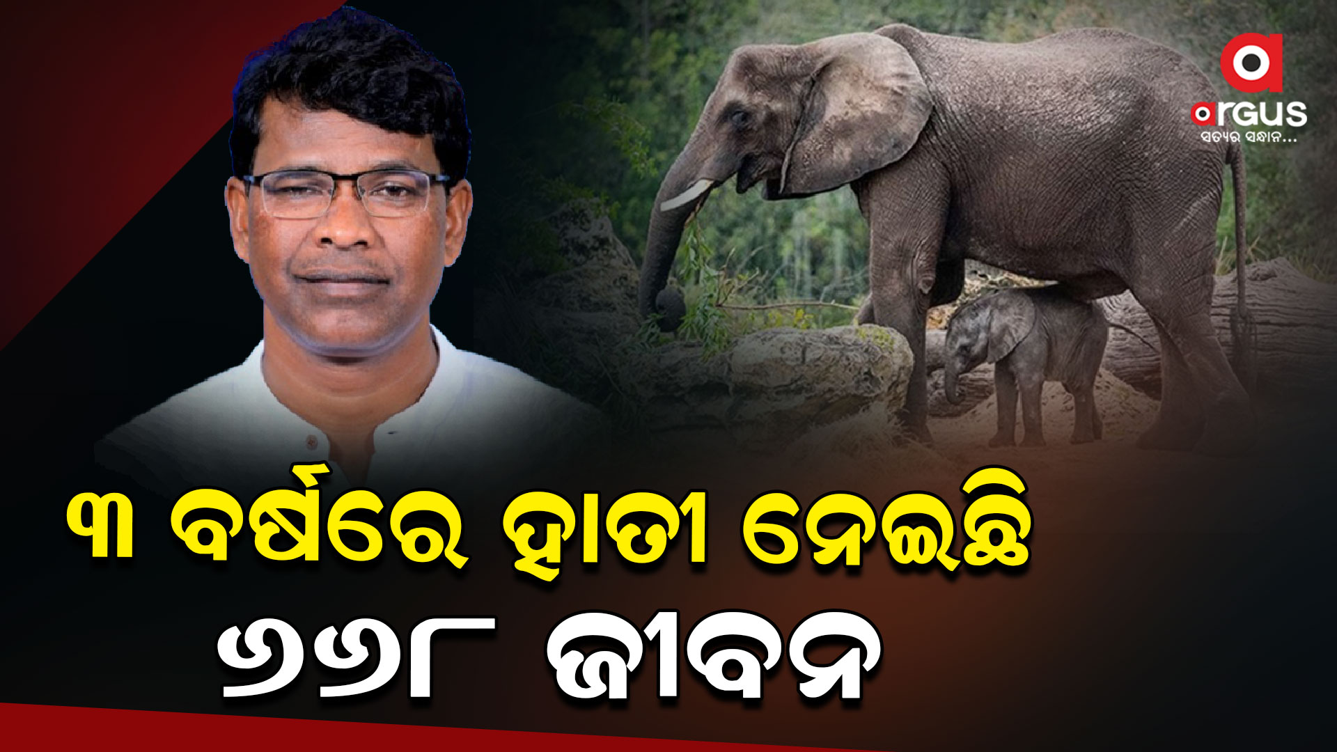 ରାଜ୍ୟରେ ବଢିଛି ହାତୀ ଉପଦ୍ରବ; ଜଙ୍ଗଲ ଓ ପରିବେଶ ମନ୍ତ୍ରୀ