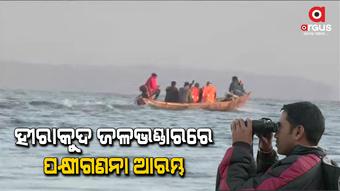ହୀରାକୁଦ ବନ୍ୟପ୍ରାଣୀ ଡିଭିଜନ ପକ୍ଷରୁ ଆରମ୍ଭ ହୋଇଛି ପକ୍ଷୀଗଣନା