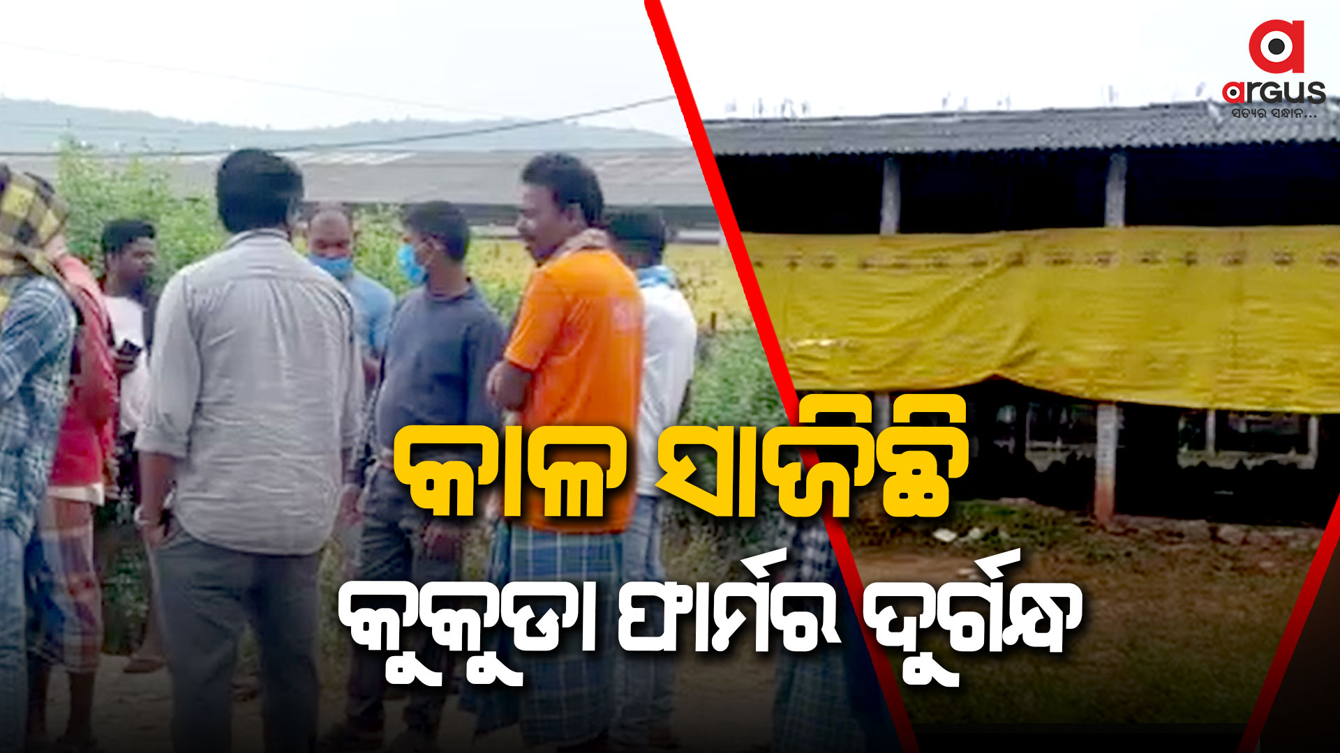 କୁକୁଡ଼ା ଫାର୍ମର ଦୁର୍ଗନ୍ଧରେ ହନ୍ତସନ୍ତ ଗ୍ରାମବାସୀ