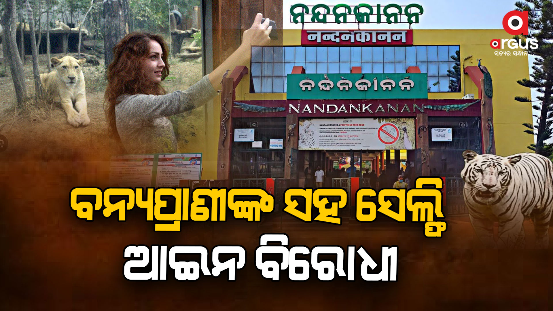 ବନ୍ୟପ୍ରାଣୀଙ୍କ ସହ ସେଲ୍ଫି ମନା, ନମାନିଲେ ମିଳିବ ଜେଲଦଣ୍ଡ