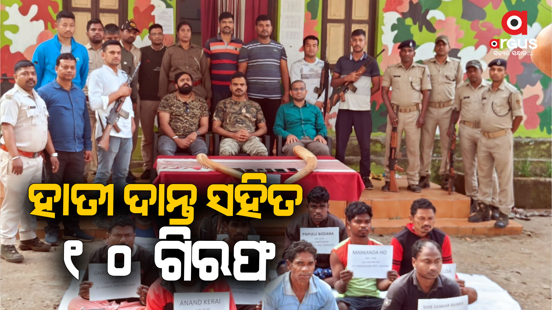 ହାତୀ ଦାନ୍ତ ଡିଲ ବେଳେ ମାଡ଼ିବସିଲା ବନବିଭାଗ