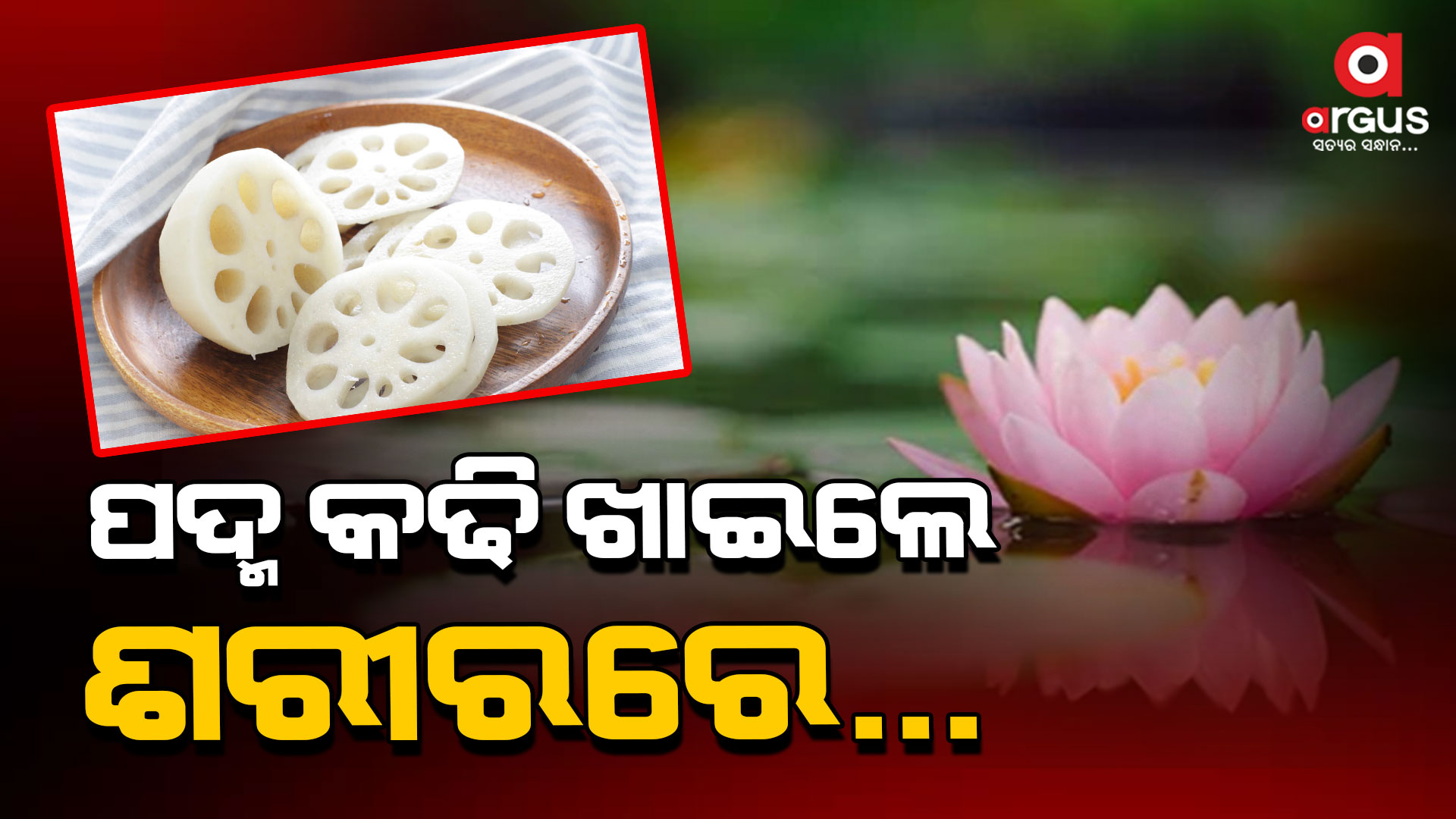 ଓଜନ ହ୍ରାସ କରିବାରେ ସାହାଯ୍ୟକାରୀ ପଦ୍ମ କଢି