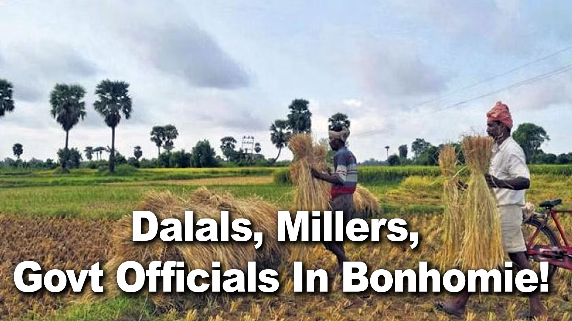 Satellite Survey On Farmland Surfaces Paddy Procurement Irregularities In Odisha