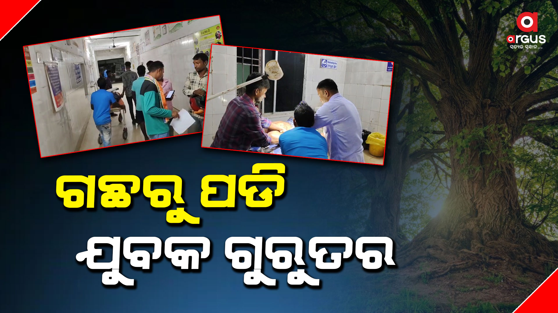 ଗଛରୁ ପଡି ଭାଙ୍ଗିଲା ହାତ ଗୋଡ, ଡାକ୍ତରଖାନାରେ ଭର୍ତ୍ତି
