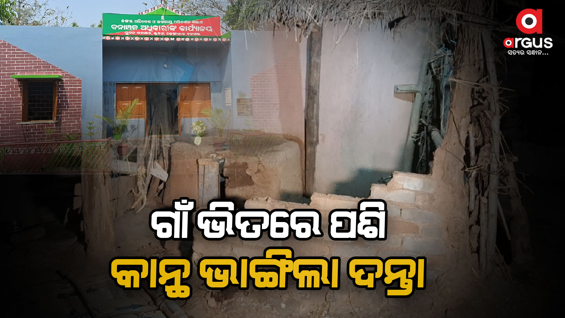 ଦନ୍ତା ଆତଙ୍କ, ଲୋକେ ଭୟଭୀତ