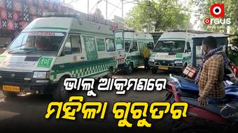 ବିଲକୁ ଯାଇଥିଲେ କାମ କରିବାକୁ, ମାଡି ଆସିଲା ଭାଲୁ