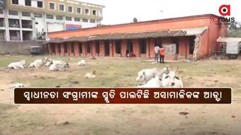 Allegation of disrespect to freedom fighters
