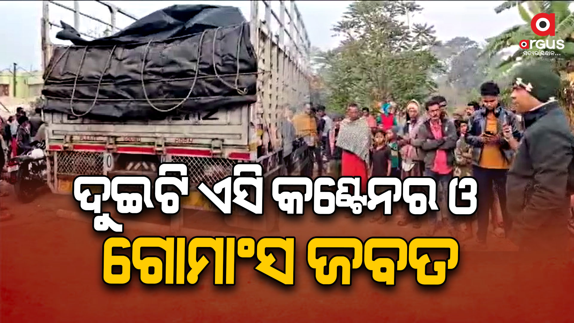 ଦୁଇଟି କଣ୍ଟେନର ଜବତ, ୧୮ଟି ଷଣ୍ଢ ଗୋରୁ ଉଦ୍ଧାର