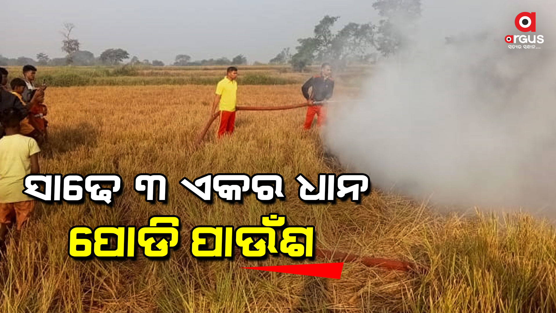 ଧାନ ଗଦାରେ ନିଆଁ ଲଗାଇଦେଲେ ଦୁର୍ବୃତ୍ତ