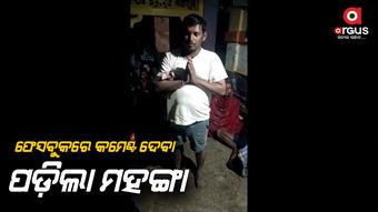 କଙ୍ଗାରୁ କୋର୍ଟରେ କ୍ଷମା ମାଗିଲେ ଯୁବକ