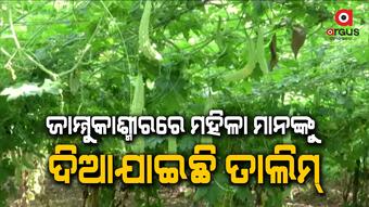 ନ୍ୟାସନାଲ ରୁରାଲ ଲାଇଭଲିହୁଡ୍ ମିଶନ ଜରିଆରେ ମହିଳାମାନଙ୍କୁ ଦିଆଯାଉଛି ବିଭିନ୍ନ ତାଲିମ୍