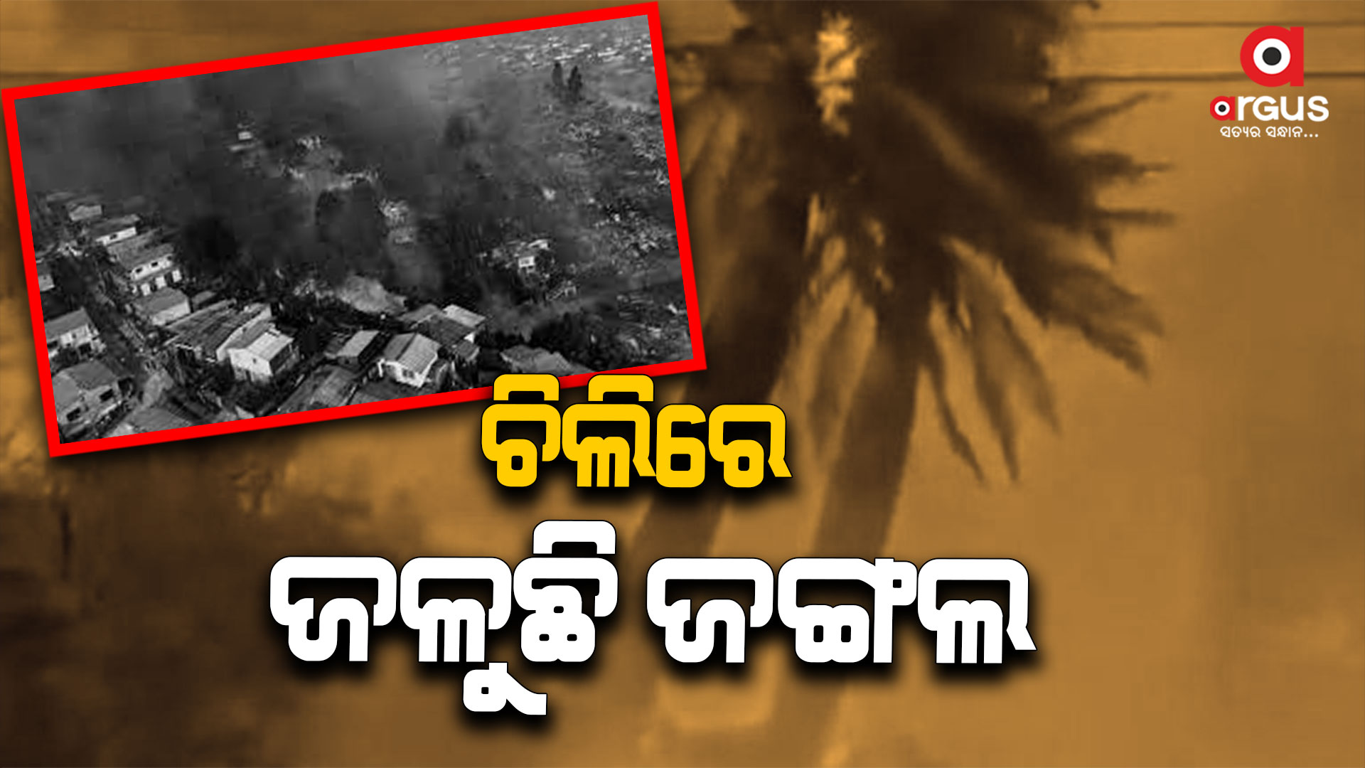 ଚିଲିରେ ଜଳୁଛି ଜଙ୍ଗଲ, ଜନବସତି ଅଞ୍ଚଳକୁ ବ୍ୟାପିଗଲା ଜଙ୍ଗଲ ନିଆଁ