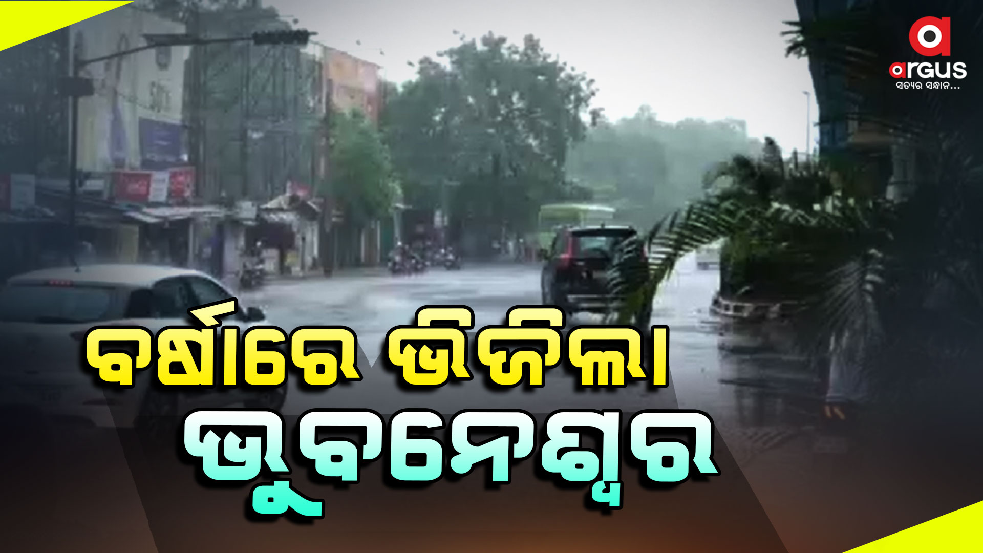 ବର୍ଷା ପରେ ଗୁଳୁଗୁଳିରୁ ସାମାନ୍ୟ ଆସ୍ବସ୍ତି
