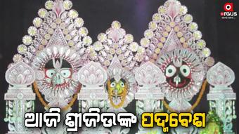 Today is Padma besha of maha prabhu Sri Jagannath