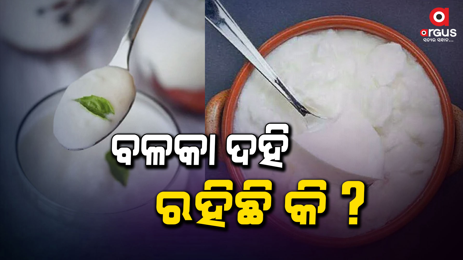 ଘରେ ଵଳକା ଦହି ରହିଯାଇଥିଲେ ଏହାକୁ ନଷ୍ଟ କରିବା ଉଚିତ୍ ନୁହେଁ