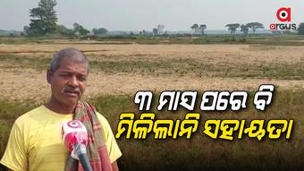 ପରିବାର ପ୍ରତିପୋଷଣ ଲାଗି ଚିନ୍ତାରେ ଚାଷୀ
