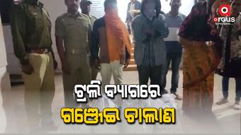ଟ୍ରଲି ବ୍ୟାଗରେ ଗଞ୍ଜେଇ ଚାଲାଣ, ତିନି ଗିରଫ