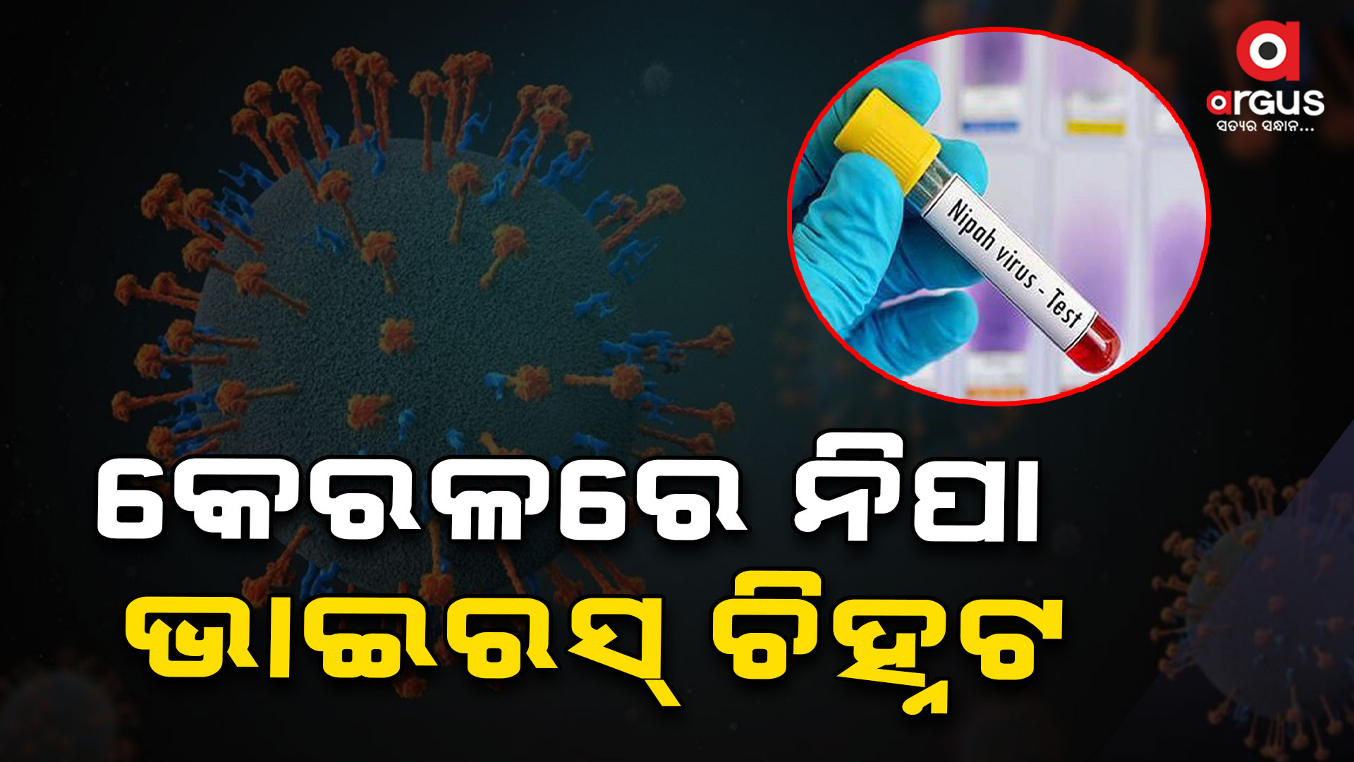 କେରଳରେ ପୁଣି ନିପା ଭାଇରସ ଆତଙ୍କ , ଜଣେ ପଜିଟିଭ ଚିହ୍ନଟ