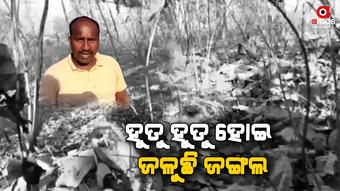 ଶୀତ ଯାଇନି ଜଙ୍ଗଲ ଜାଳିବା ଆରମ୍ଭ ହେଲାଣି