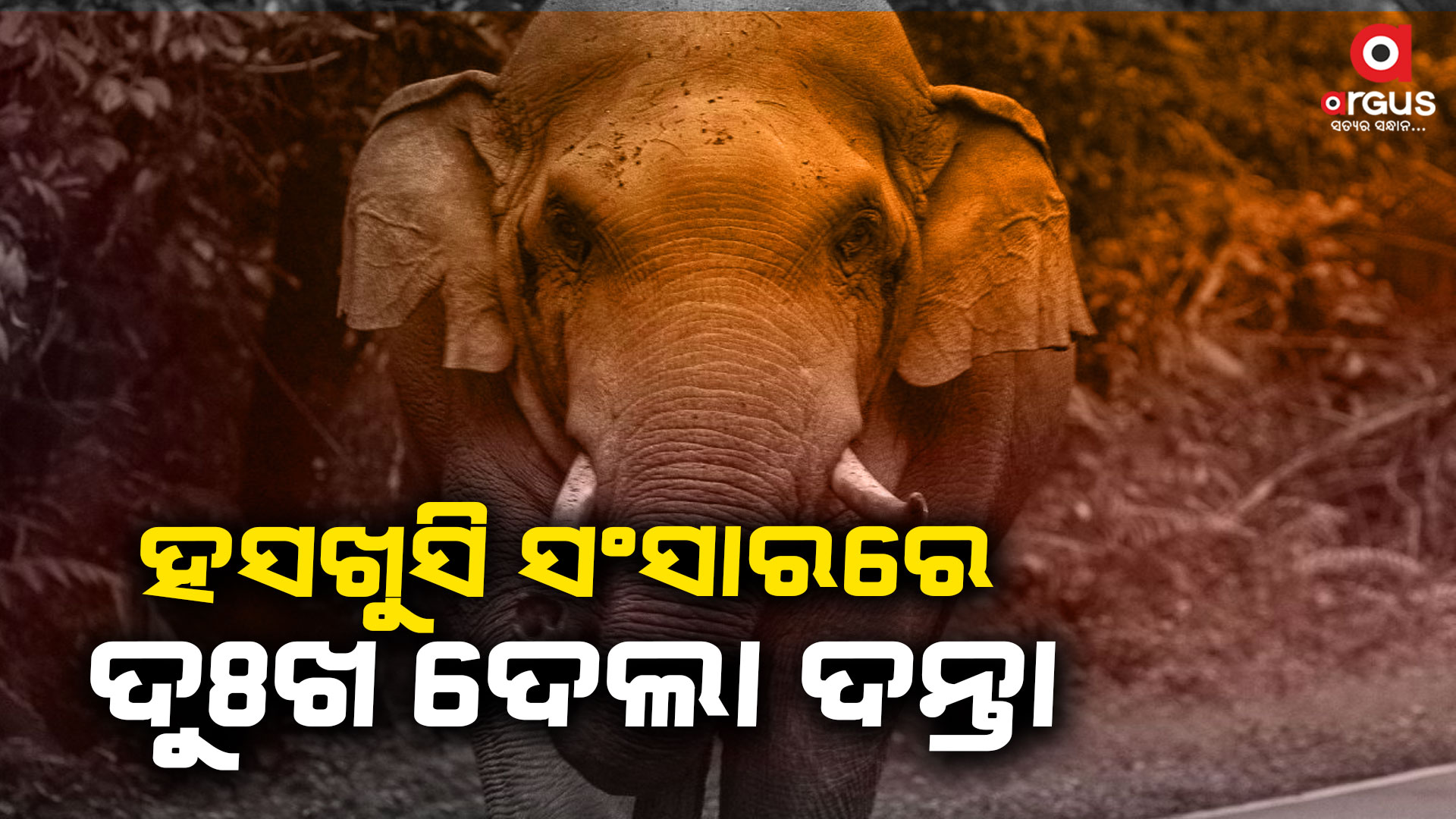 ଖେଳ ଦେଖି ଫେରୁଥିଲେ, ବାଟରେ କଚାଡ଼ିଦେଲା ଦନ୍ତା