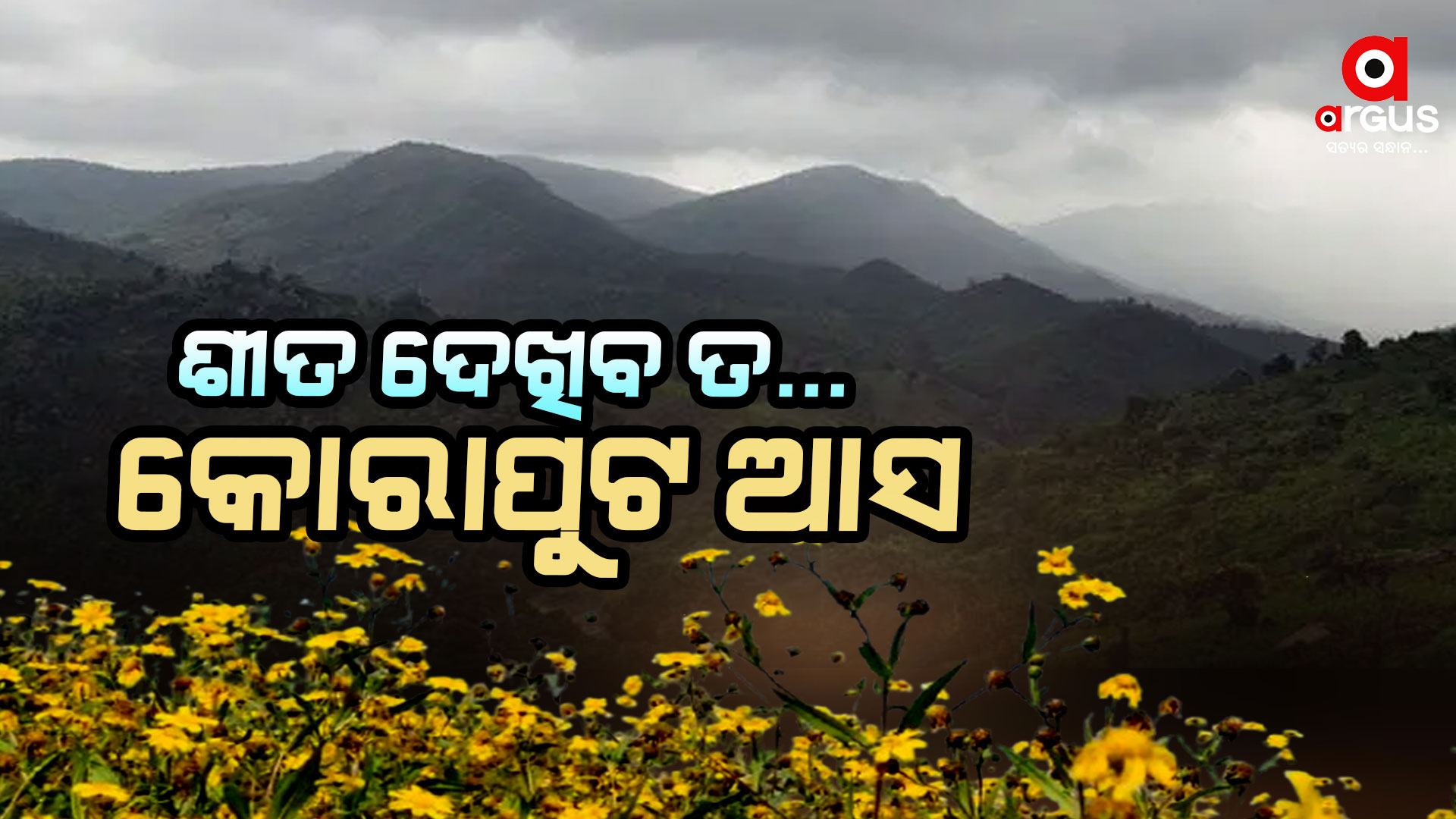ସବୁଜିମାରେ ଭରା ପାହାଡ...ଶୀତୁଆ ସକାଳରେ କୁହୁଡିର ପତଳା ଚାଦର