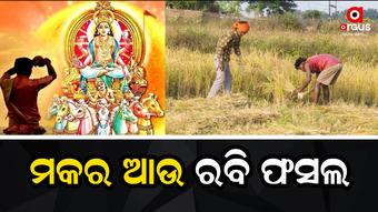 Makar Sankranti and Farming