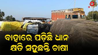ବିନା ଭିତ୍ତି ଭୂମିରେ ଚାଲିଛି ଧାନ ସଂଗ୍ରହ