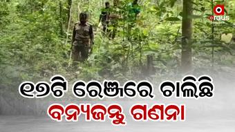 ଶିମିଳିପାଳ ଅଭୟାରଣ୍ୟରେ ବନ୍ୟଜନ୍ତୁ ଗଣନା