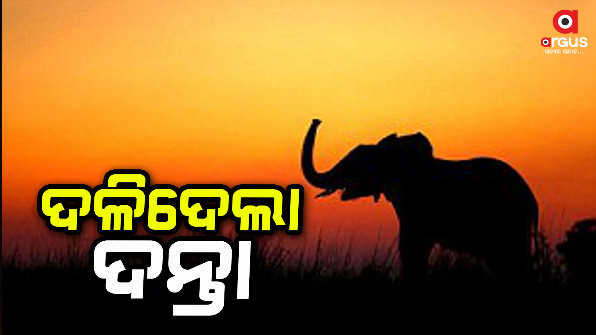 ଶୌଚବେଳେ ଜଣଙ୍କୁ ଦଳିଦେଲା ଦନ୍ତା