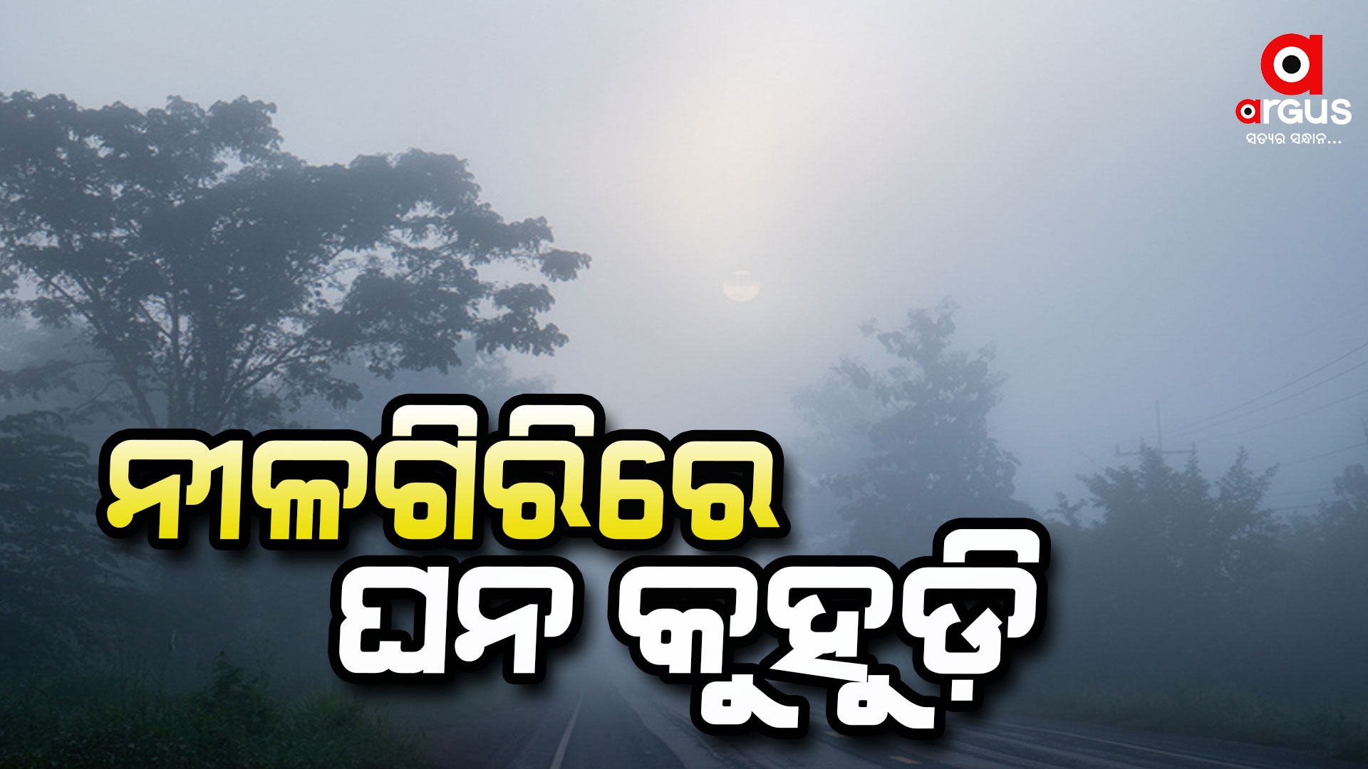 ଘନ କୁହୁଡ଼ି ଘେରରେ ନୀଳଗିରି