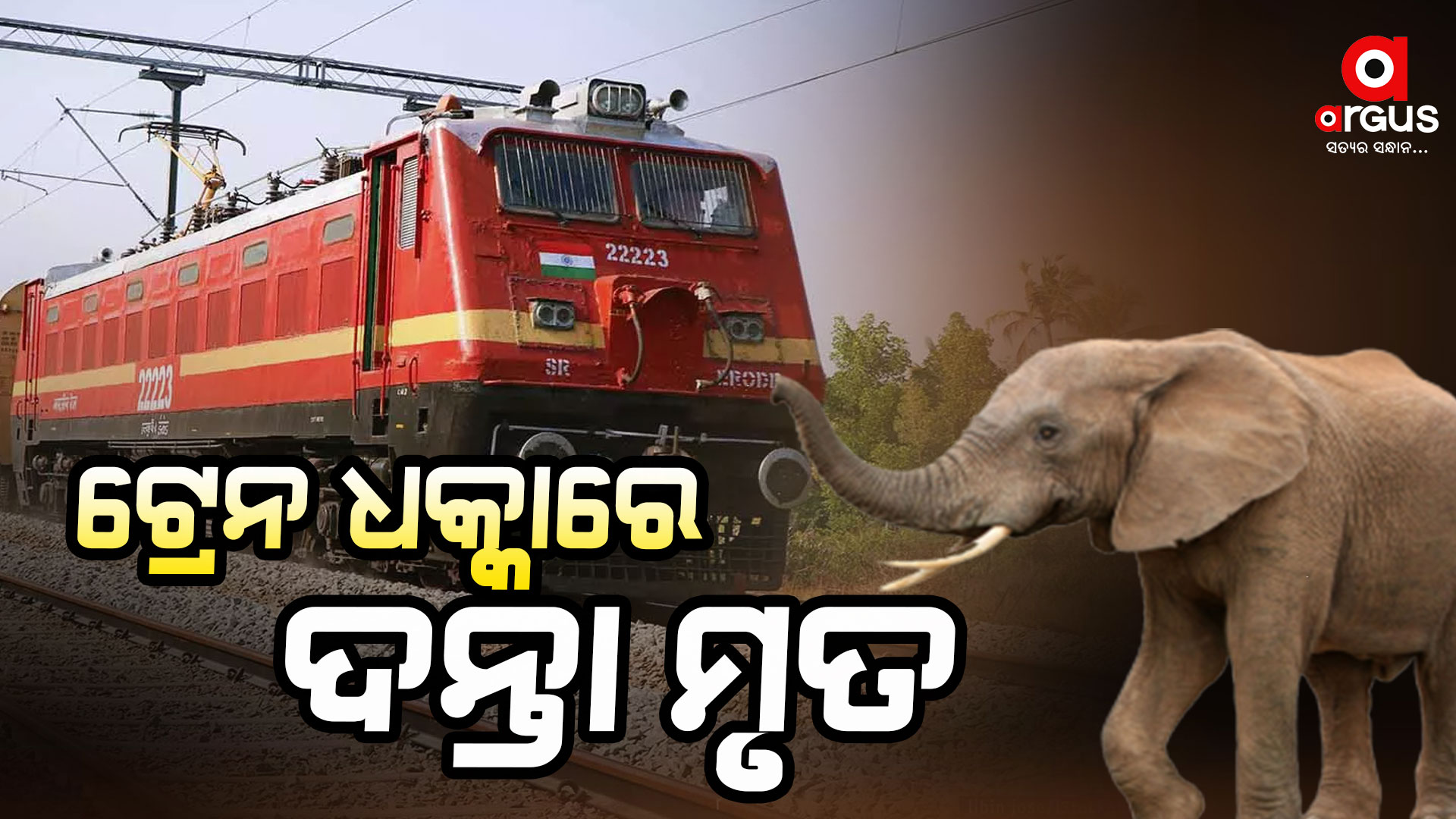 ଟ୍ରେନ ଧକ୍କାରେ ଦନ୍ତା ହାତୀର ମୃତ୍ୟୁ