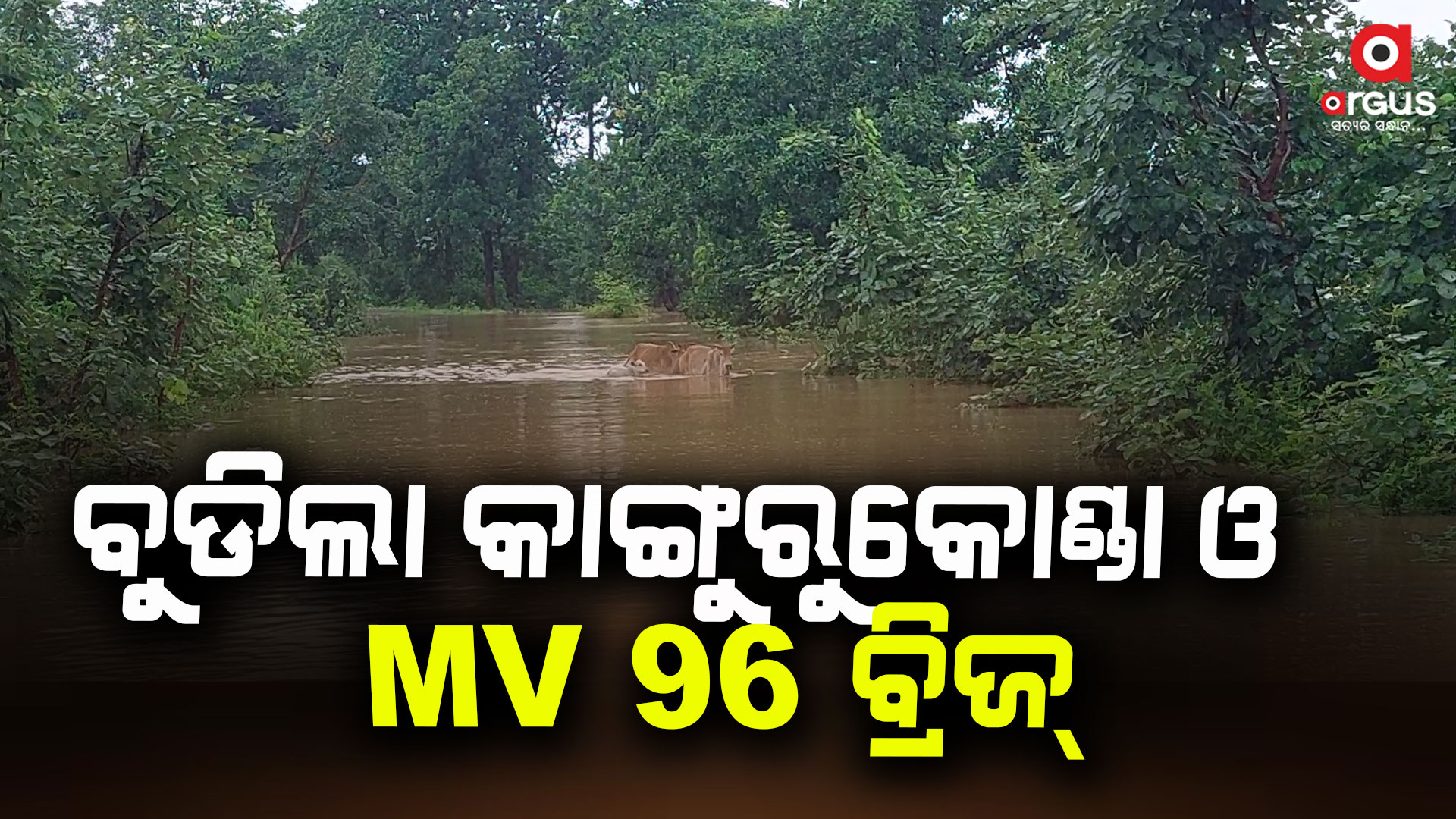 ନଦୀ ଭ୍ରମ ସୃଷ୍ଟି କରୁଛି ଜୀତୀୟ ରାଜପଥ