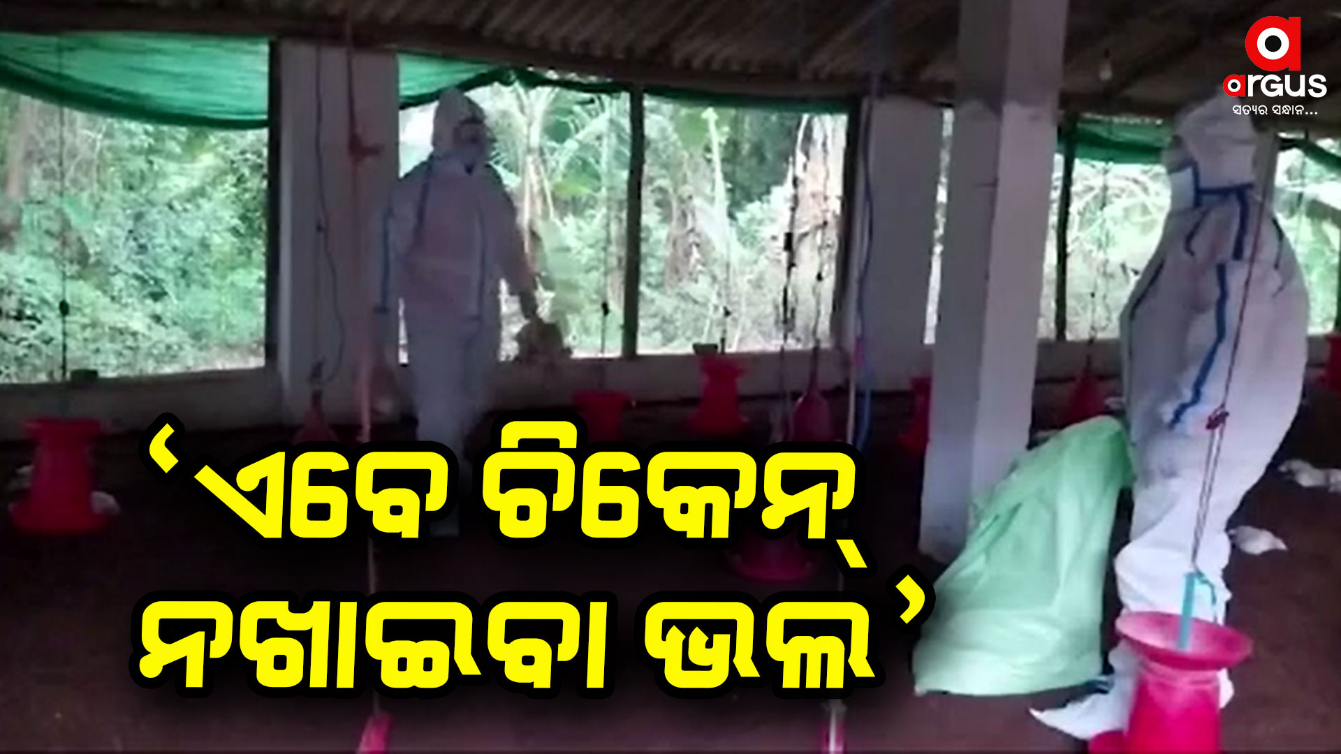 ବାର୍ଡ ଫ୍ଲୁ ନେଇ ଜିଲ୍ଲା ଗୁଡିକୁ ଆଡ଼ଭାଇଜରୀ ଜାରି କଲେ ସ୍ବାସ୍ଥ୍ୟ ନିର୍ଦ୍ଦେଶକ