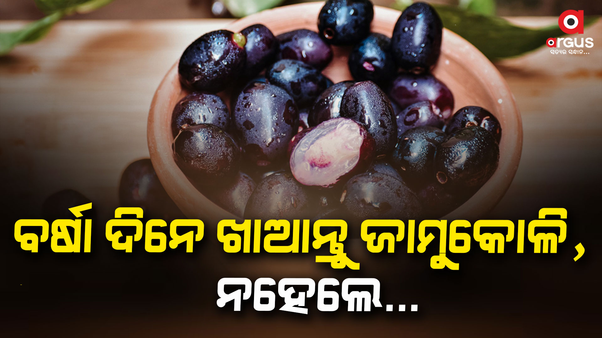 ବର୍ଷାଦିନେ ଜାମୁକୋଳିର ଫାଇଦା