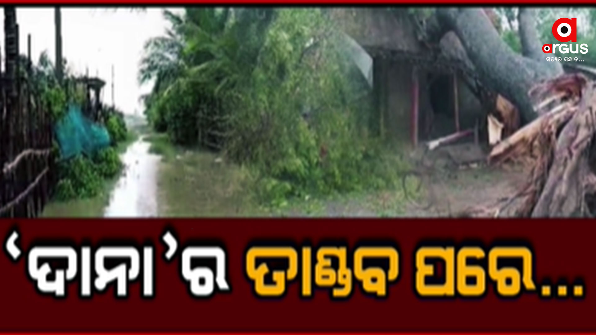ଭାଙ୍ଗିଲା ବିଦ୍ୟୁତ ଖୁଣ୍ଟ, ଉପୁଡ଼ିଲା ଗଛ, ଉଡ଼ିଲା ଚାଳ ଛପର