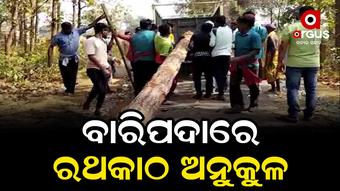 ପବିତ୍ର ବସନ୍ତ ପଞ୍ଚମୀ ଅବସରରେ ଆଜି ରଥକାଠ ହୋଇଛି ଅନୁକୁଳ