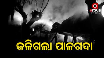 ପୋଡ଼ିଗଲା 7ରୁ ଉର୍ଦ୍ଧ୍ବ ପାଳଗଦା