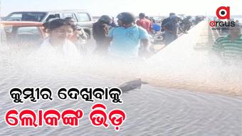 Crocodile spotted at Athagarh Madhusudan Setu in Cuttack