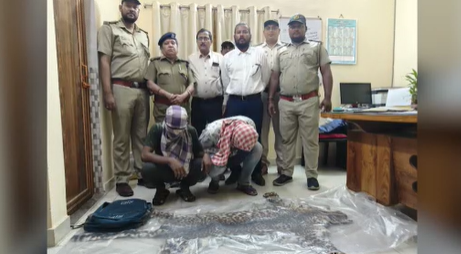 Tiger Skin Sale Bid Foiled, Two Arrested In Cuttack